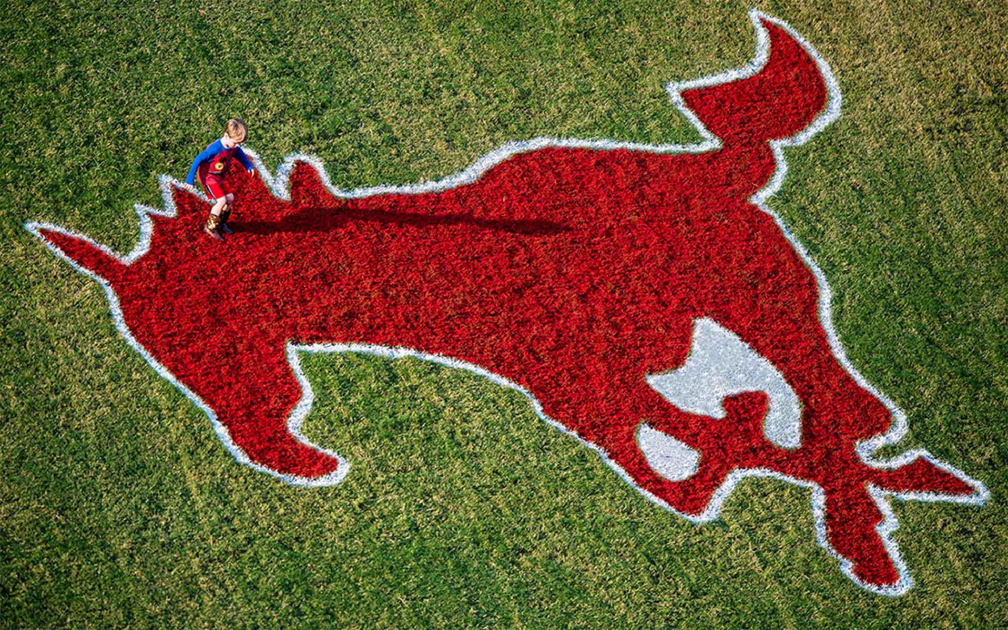 Child playing on football field